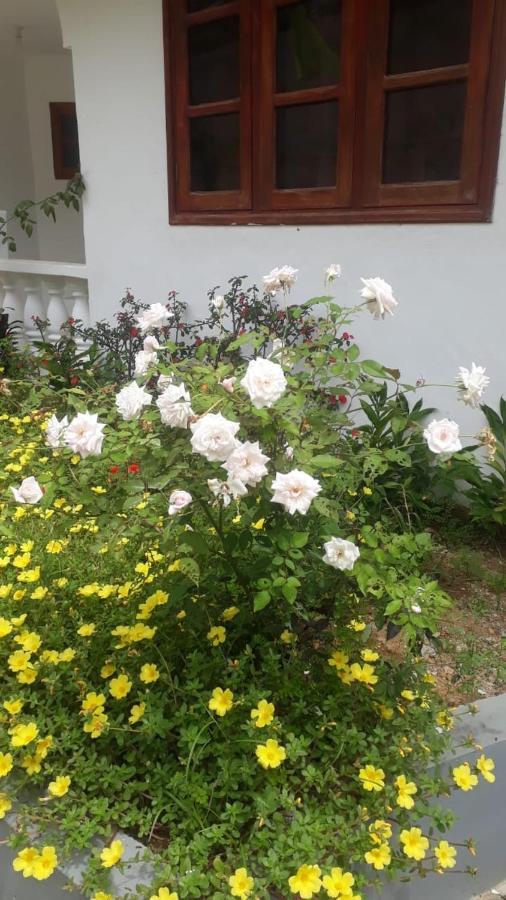 فندق Ogumka, Self Catering , Beoliere, Mahe فيكتوريا المظهر الخارجي الصورة